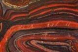 Polished Tiger Iron Stromatolite - Billion Years #129454-1